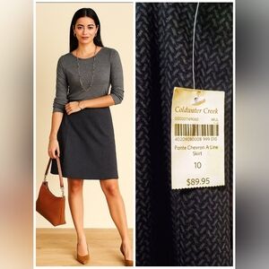 🧵 Coldwater Creek Ponte Chevron A-Line Skirt | Size 10 | Smoky Navy Blue